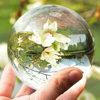 Картинка из интернета.