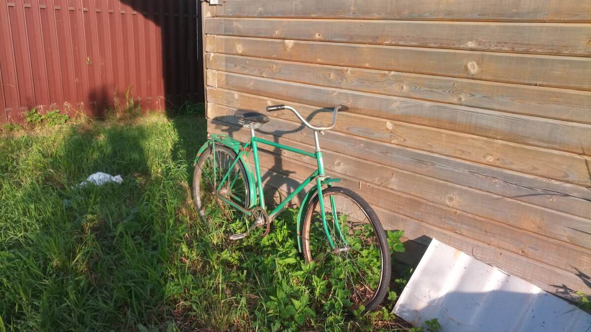 Почти такой велик был у нас в Лемболово)