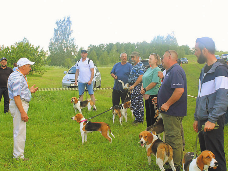     Фото автора.
