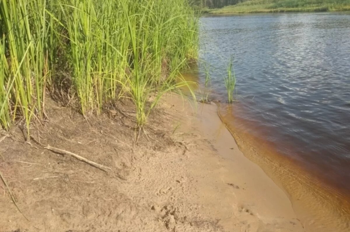    В Рязанской области в этом году погибли уже шесть детей