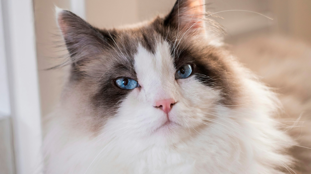 Photo by Petrebels on Unsplash