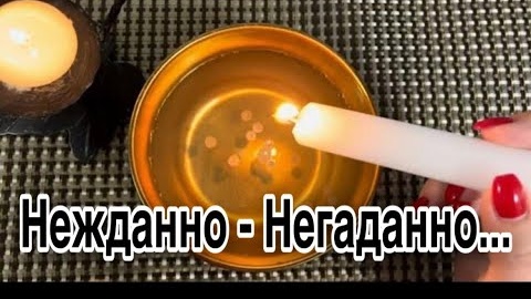 🔥Неожиданные встречи нежданно-негаданно🔥отливка