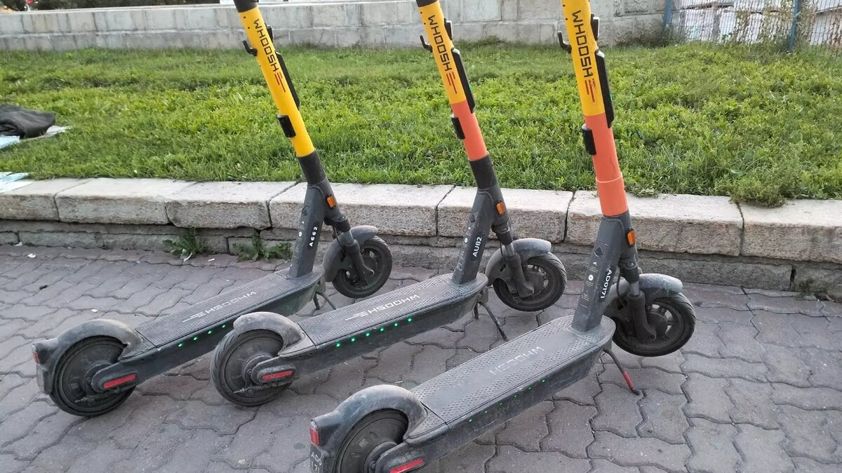     Автор: Алина Гурицкая Источник: atas.info