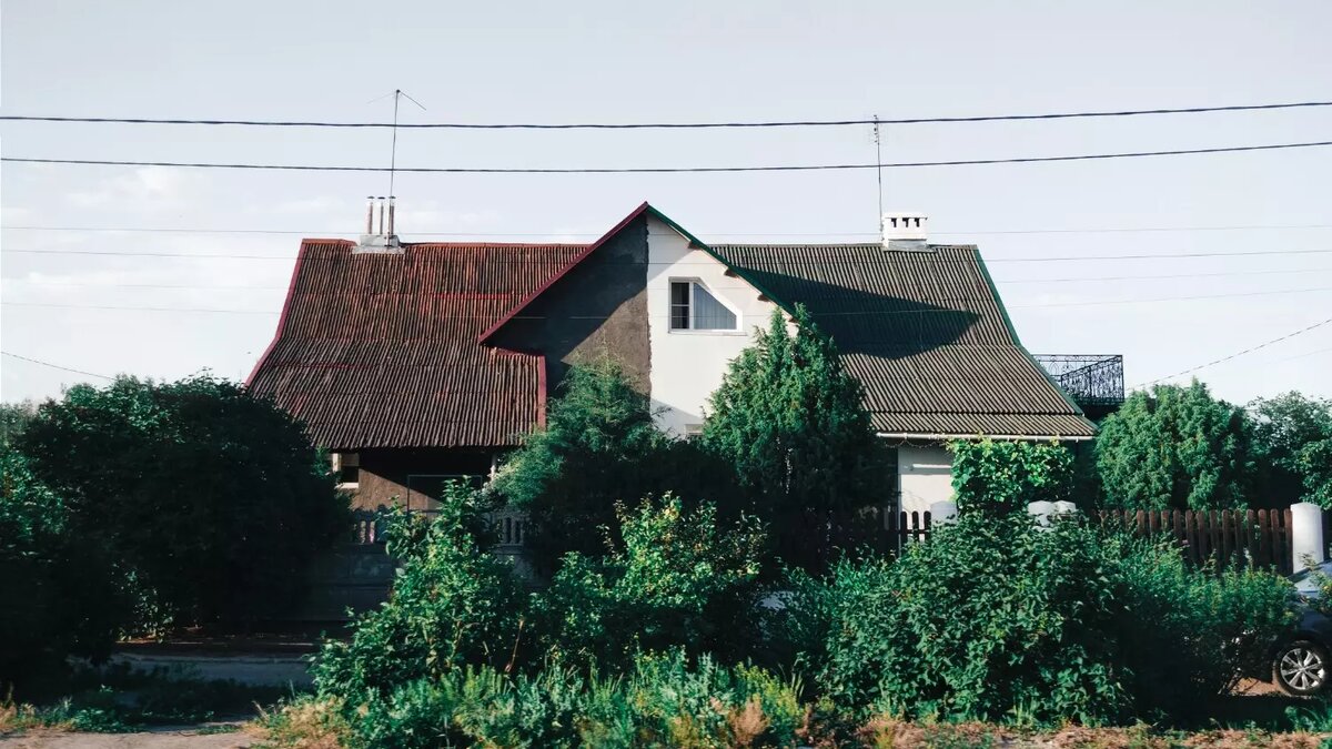     Автор: Таня Блок Источник: novostivolgograda.ru