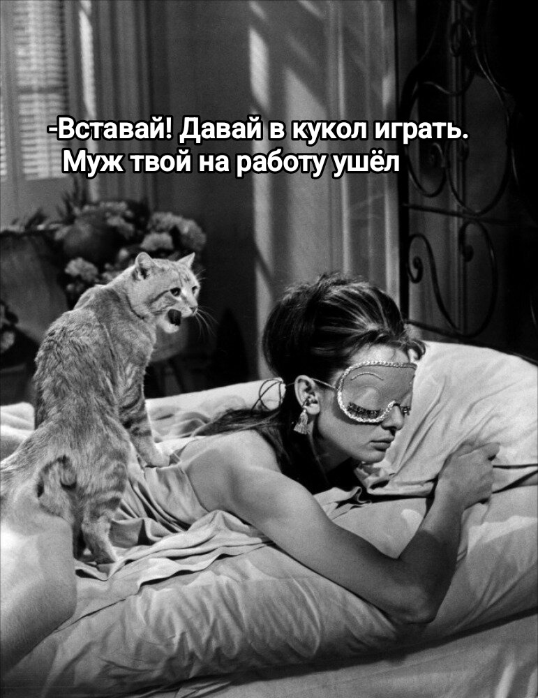 Кукольные мемы: игры в кукол пока муж не видит