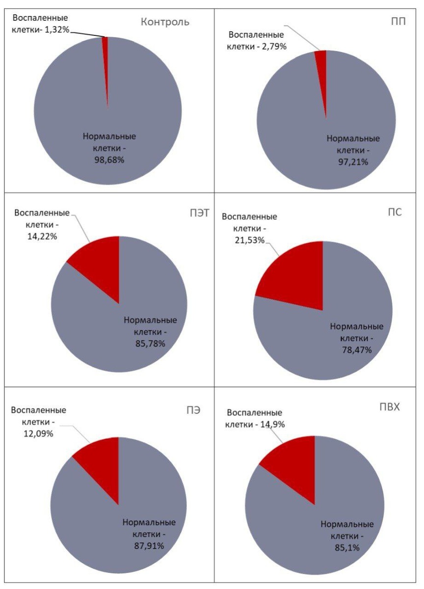 Результаты исследования кишечника мышей после введения микрочастиц различного состава