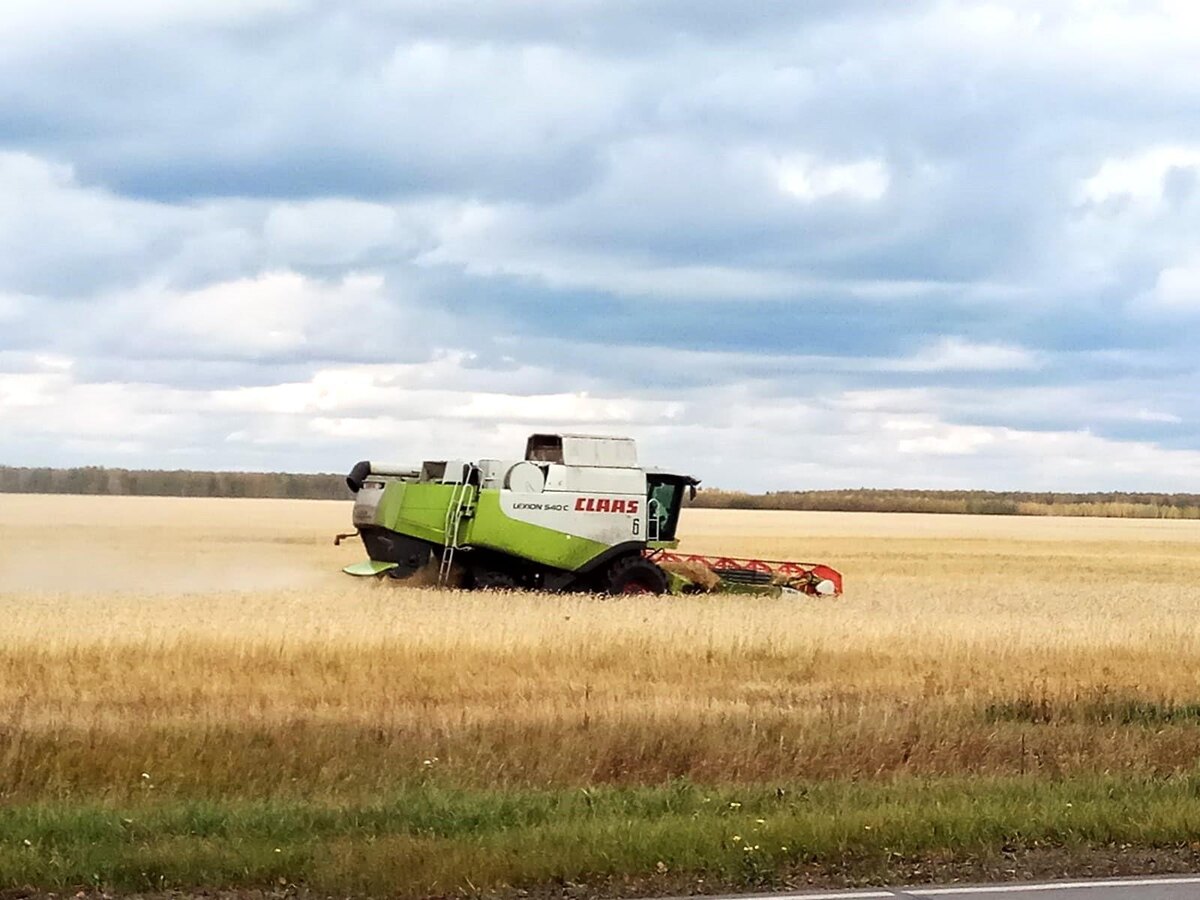 Фото: Е.Карабанов