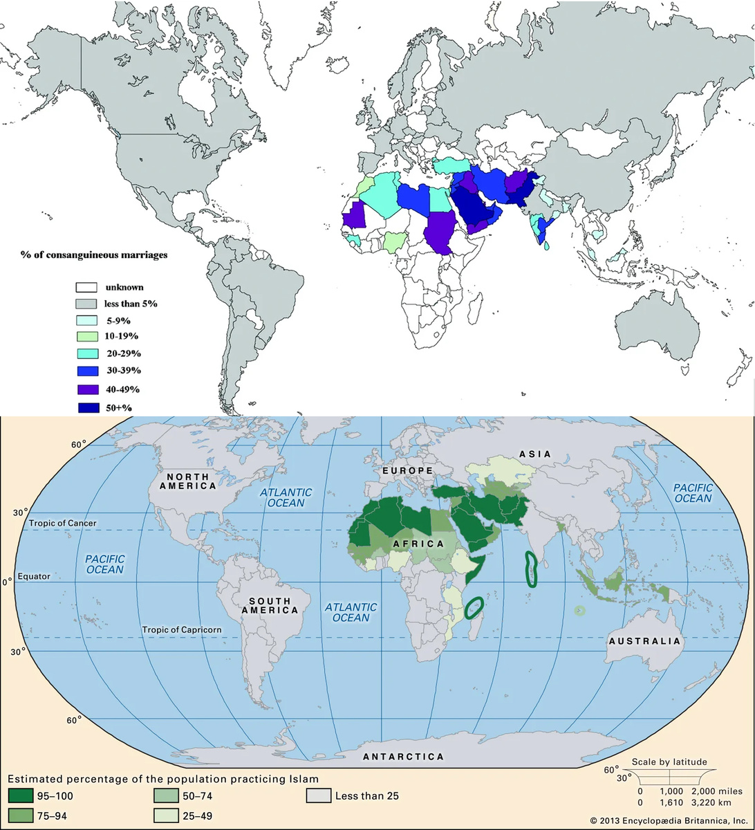 Карта 1: распространенность инбридинга. Карта 2: распространенность ислама по странам.