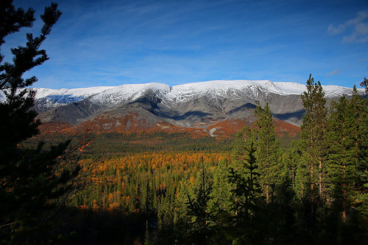 Хибинские горы состоят из различных минералов. Это один из крупнейших на Земле комплексов таких видов пород, как апатиты и нефелины. Фото: Владимир / Яндекс Карты