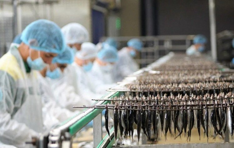    Прудовое рыбхозяйство в Подмосковье восстанавливает мощности для производства 150 тонн товарной рыбы в год