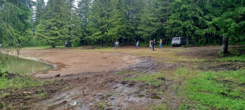 Последствия рубка у берега Черноисточинского пруда / Фото: Рамиль Хакимов