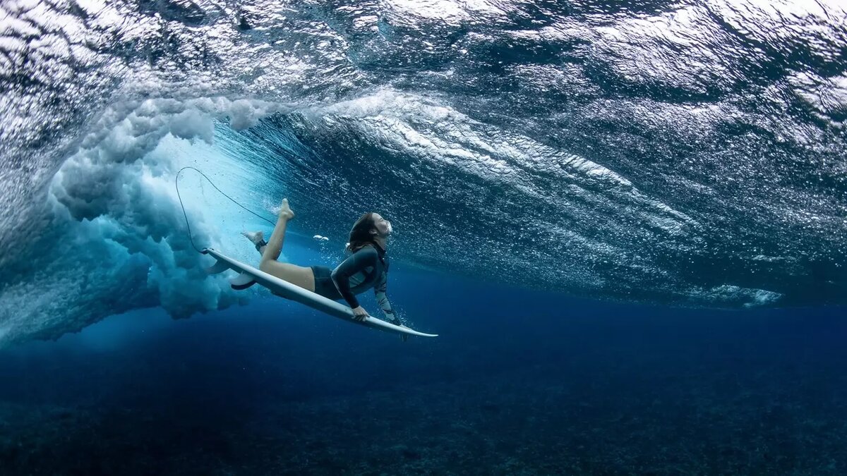     Автор: Ryan Pierse (Австралия) «Погружение утки» Источник: World Sports Photography Awards 2024