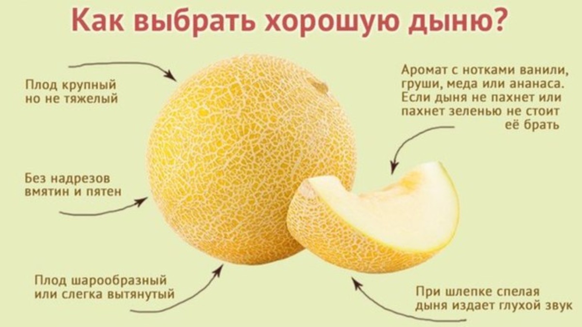 Можно ли дыню при беременности