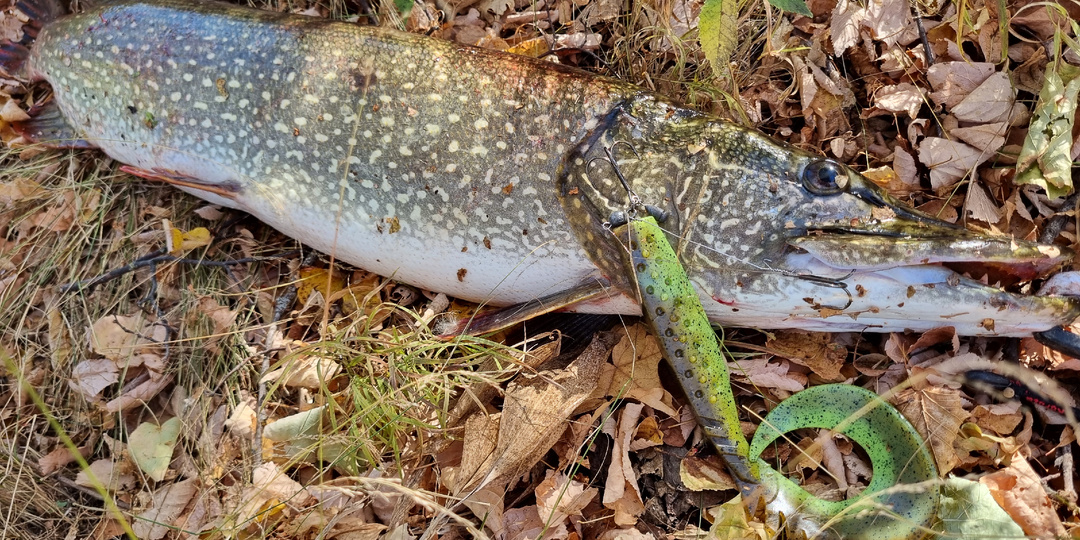 Надежный рыболовный узел, никогда не подведет!