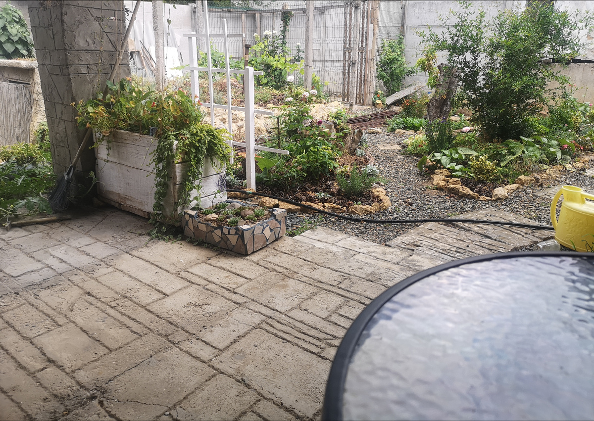 Конечно, самих дождевых капель на фото не видно, но дождь идёт!