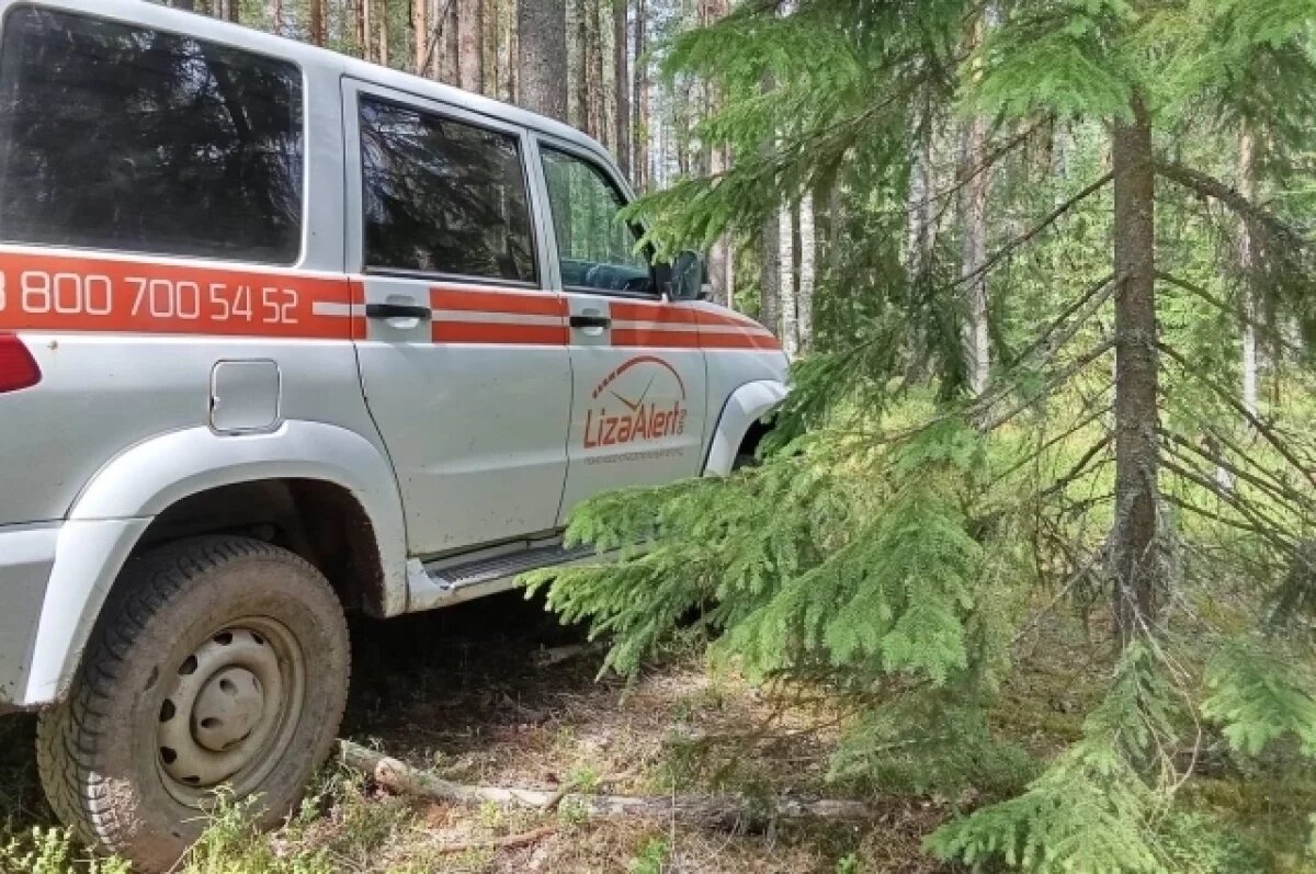    За 2024 год во Владимирской области пропало более тысячи человек