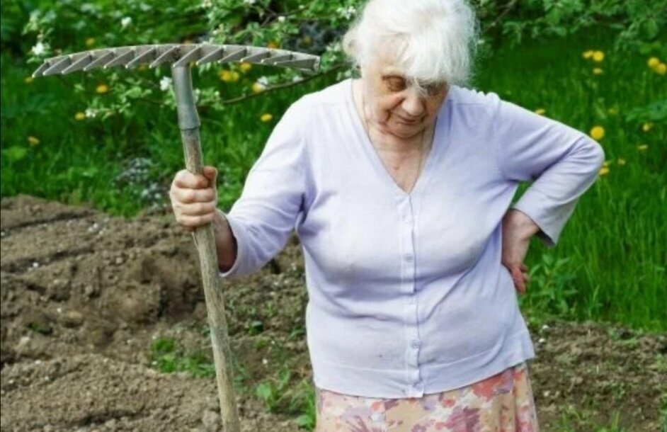 Фото из интернета 