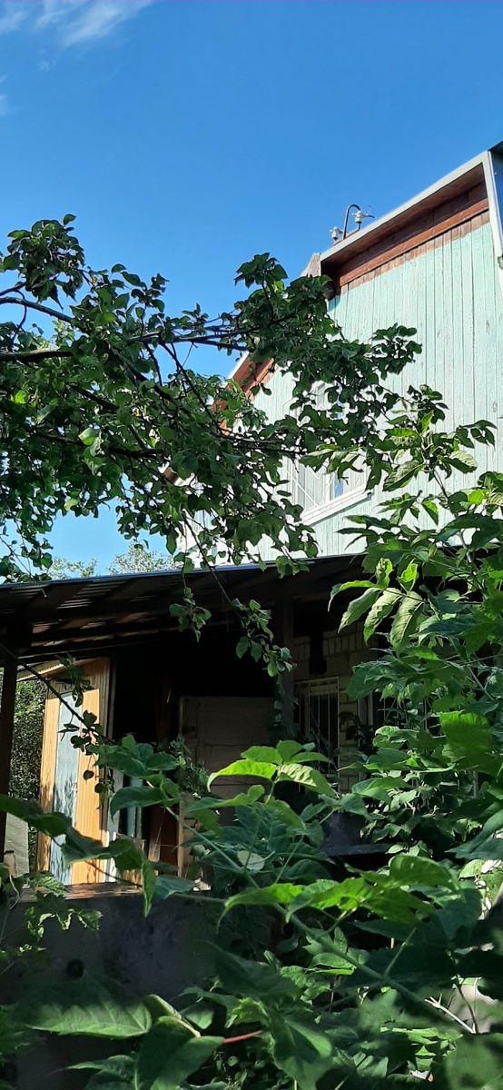 Это дом соседей 