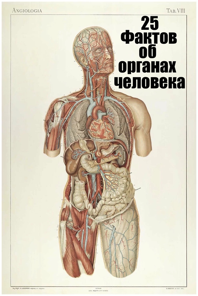 Интересно для закрепления