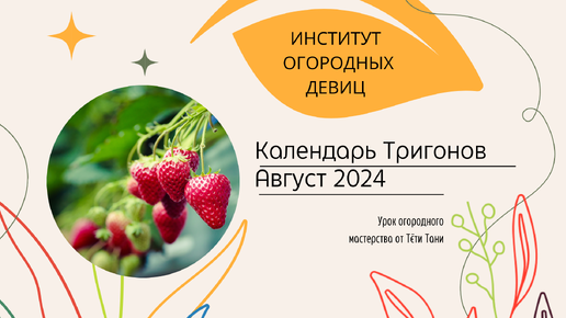 Календарь Тригонов. Август 2024 г. Посадка, пересадка.