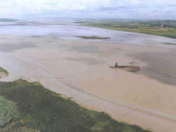 Устье реки Шаннон. На следующем фото - предметы, которые местные жители жертвовали реке со времён неолита и вплоть до раннего средневековья