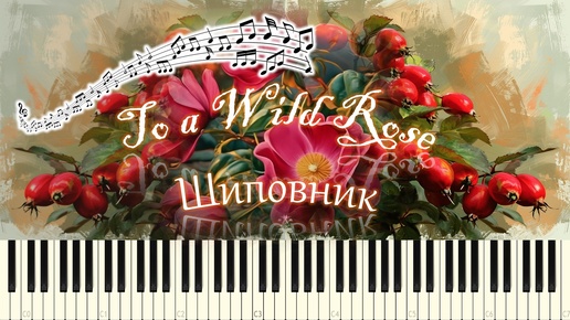 Э.Мак-Доуэлл - Шиповник / To a Wild Rose (piano tutorial) {НОТЫ + MIDI}