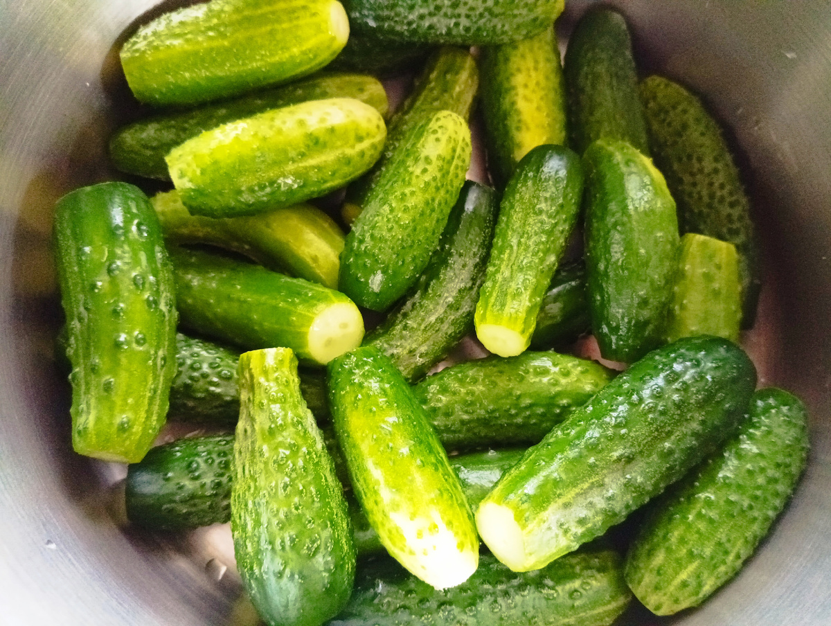 Фото: Вкусная еда без труда