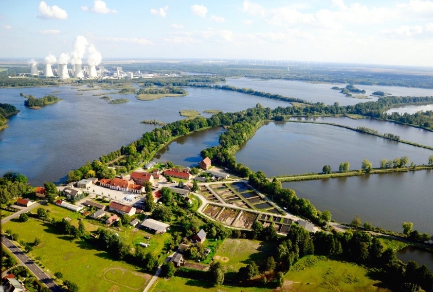 Город Пайтц.