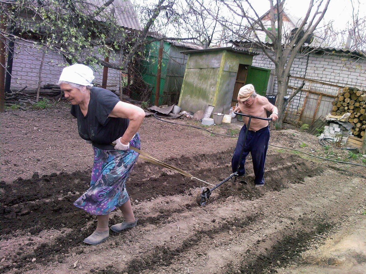 Из открытых источников.