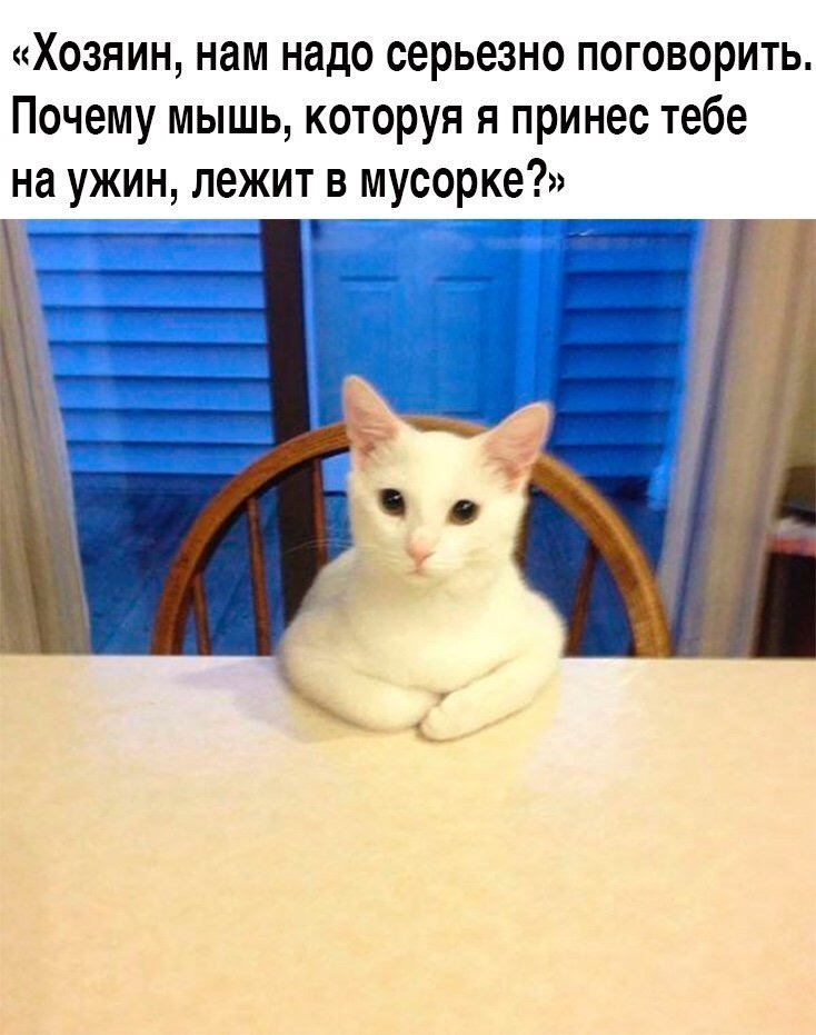 Картинка Яндекс.Картинки.