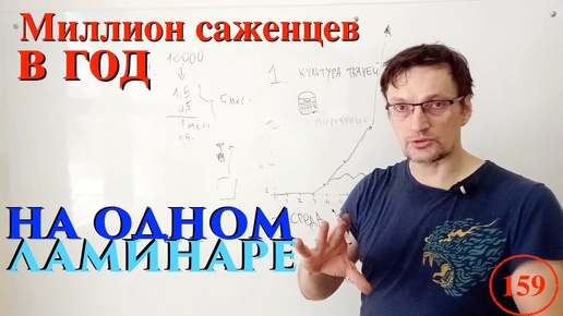 [159] МИЛЛИОН саженцев в год на одном ламинаре. Рассказываю, как. Считаем ваш бизнес план!