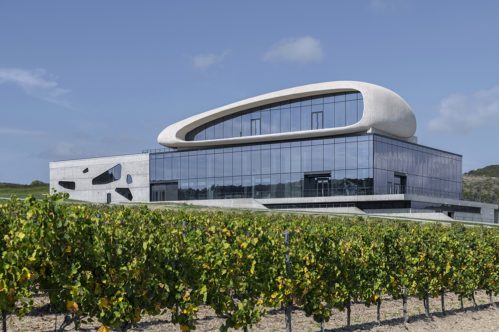 В 2021 году винодельня «Скалистый берег» получила диплом на архитектурном фестивале «Золотое сечении» и вошла в число финалистов одного из крупнейших международных архитектурных конкурсов WAF. / Фото Даниил Анненков