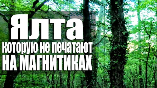 До чего довели Крым. ЯЛТА СЕГОДНЯ. Водопад Учан-Су - ВОДЫ НЕТ. Дорога на Ай-Петри.