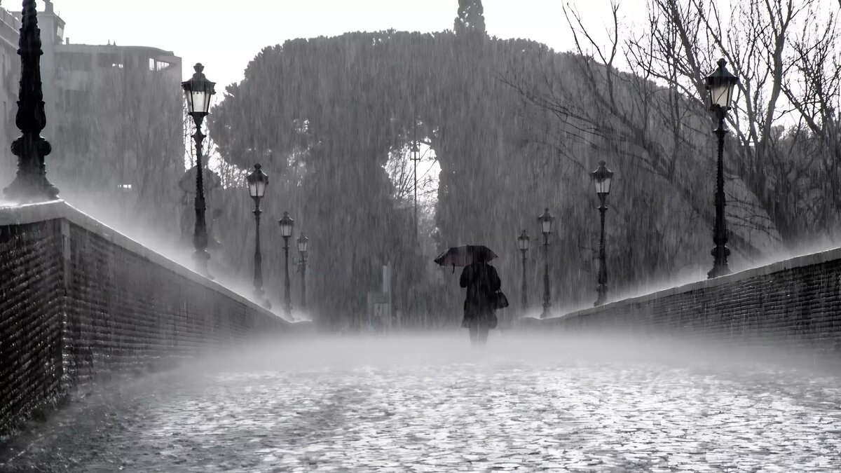     Источник: pxhere.com