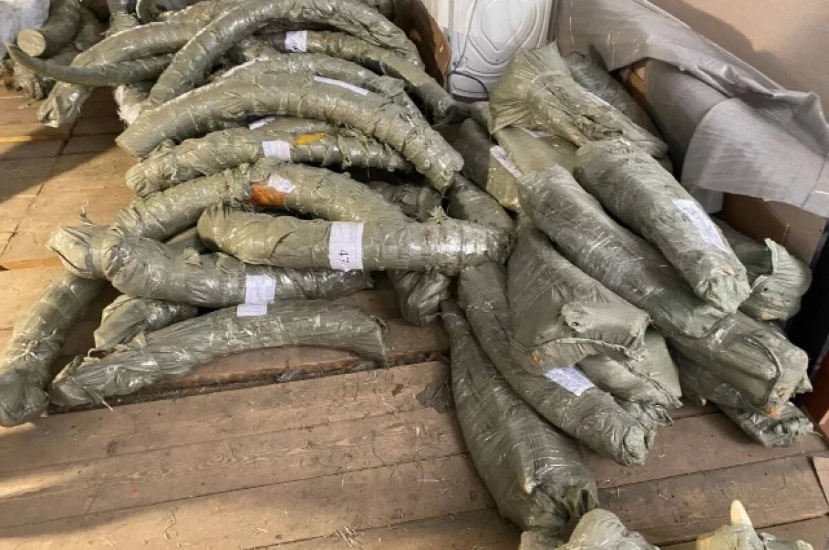    Неудавшаяся контрабанда сокровищ закончилось приговором в Хабаровском крае