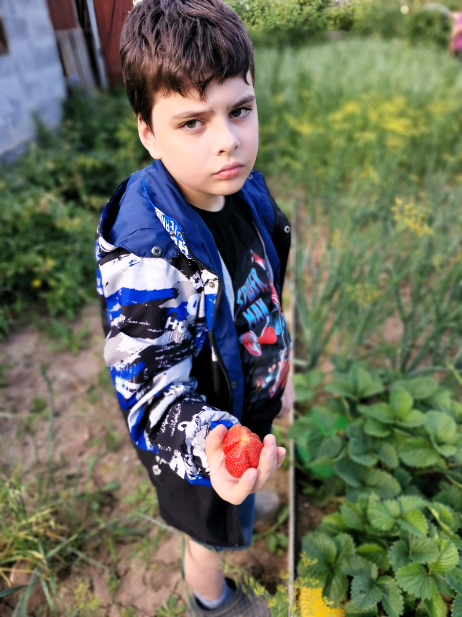 Собирал клубнику у бабушки в огороде 😊