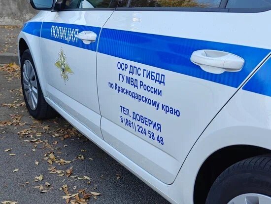    Фото: Юрий Серебренников/BFM Кубань