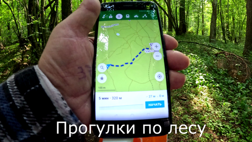 Прогулки по лесу | Программа на смартфоне для тех, кто потерялся в лесу.