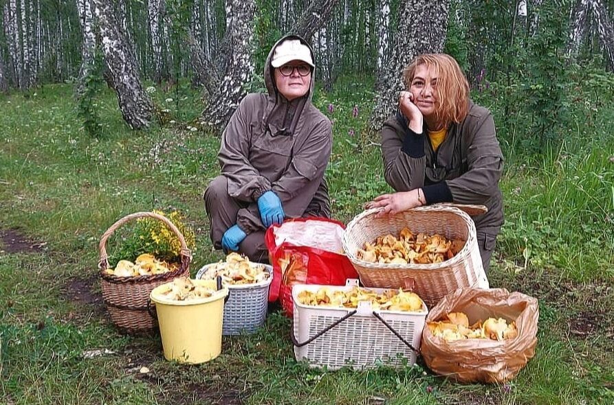 Две екатеринбурженки, три часа в лесу — и вот такое количество лисичек!
Источник: Кристина Редикульцева