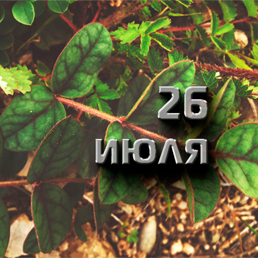     А что у нас в календаре? 26 июля
