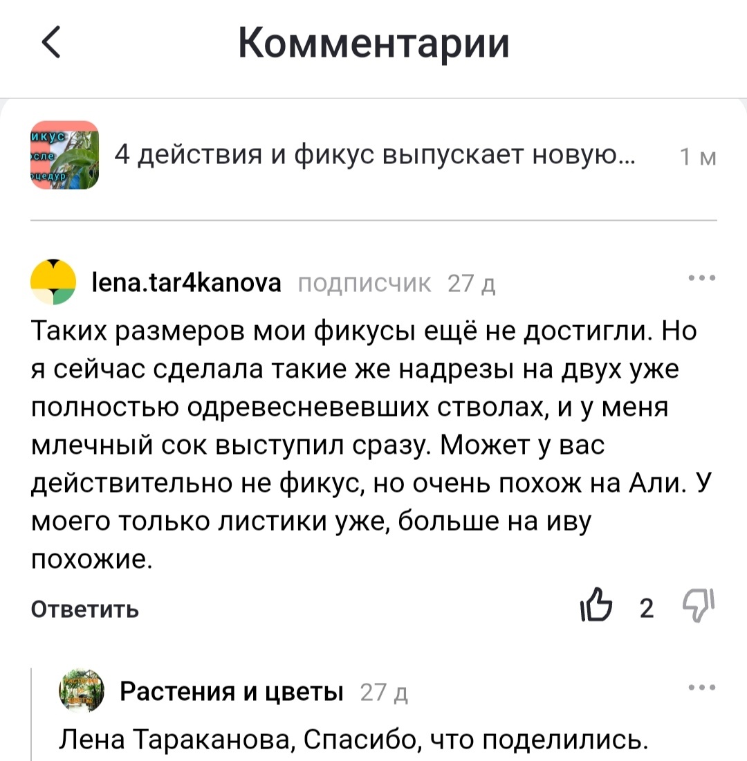Один из нескольких комментариев на канале