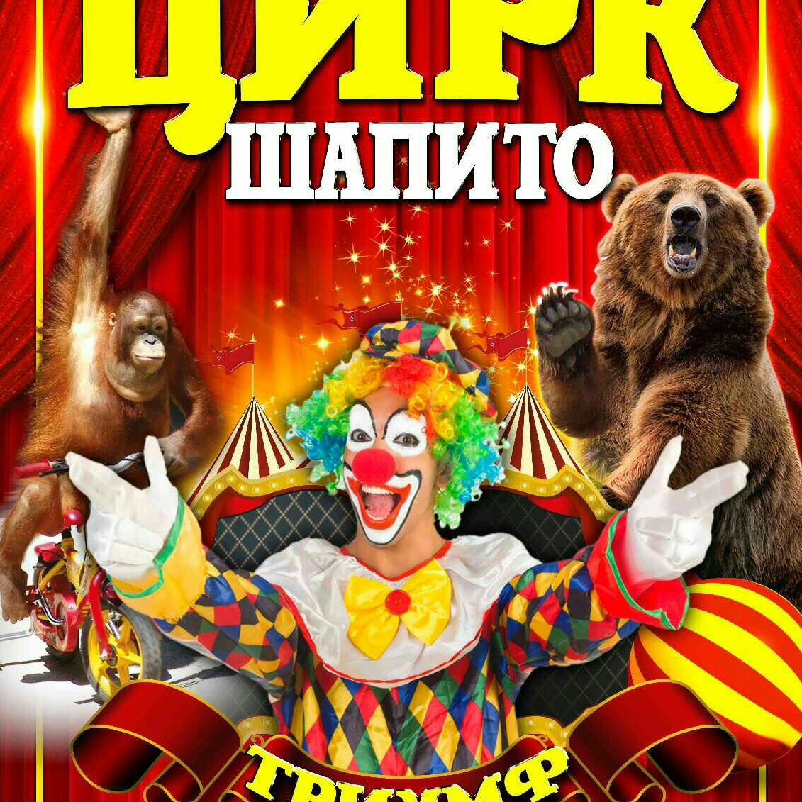 Изображение взято из открытых источников в качестве иллюстрации