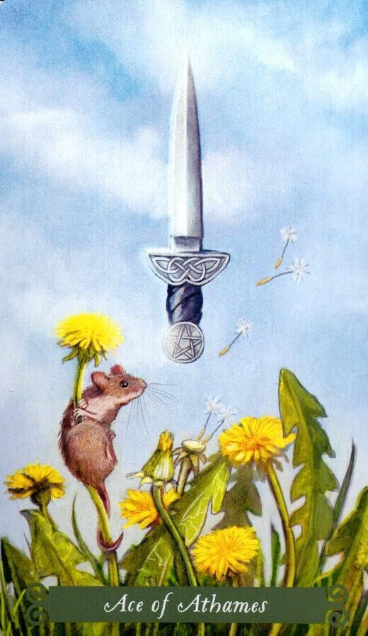 #таро#тарозеленойведьмы#значениятаро#толкованиекарт#thegreenwitchtarot#tarot#тузкинжалов#таротузкинжалов#aceofathames#кинжалы#athames#мастькинжалов#младшиеарканы#minorarcana