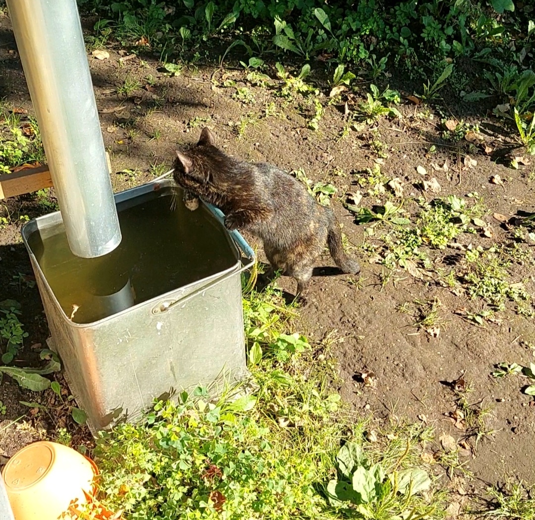 Фото из личного архива.