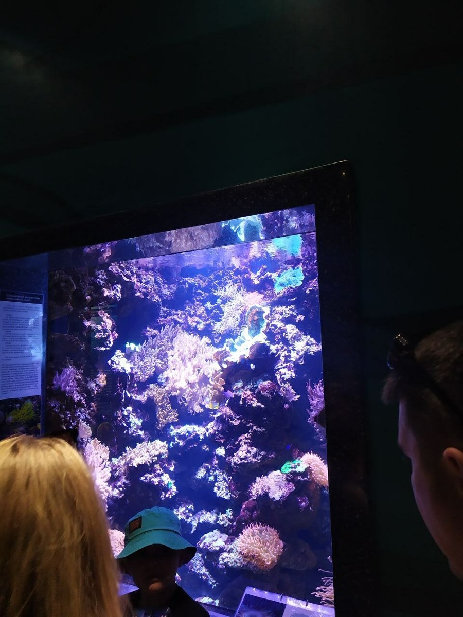 Мы специально выбирали не выходной, чтобы было поменьше людей, но все-таки, даже в будний день людей там достаточно)