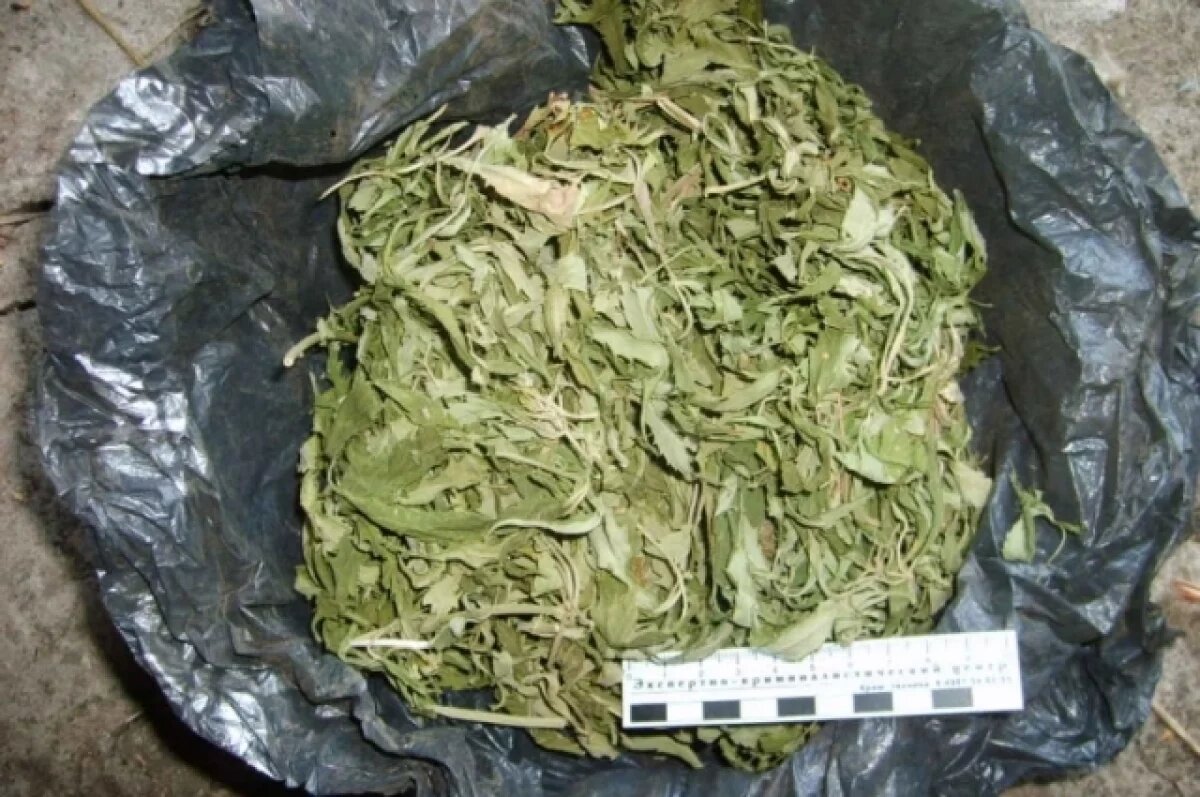    Житель Борзи с рюкзаками наркотиков попался полицейским на трассе