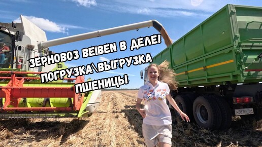 Муз авторское Зерновоз BEIBEN в деле! Погрузка и выгрузка пшеницы на элеваторе. Уборочная 2024