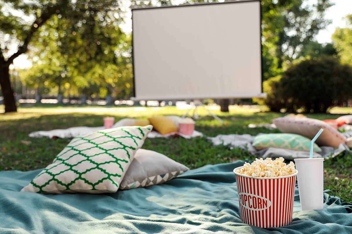 Екатерина Владимирцева