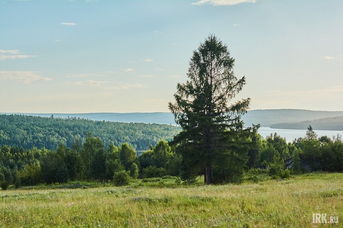    Лето. Фото Маргариты Романовой, IRK.ru