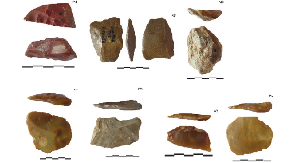   Jackie Despriée et al. / Scientific Reports, 2024